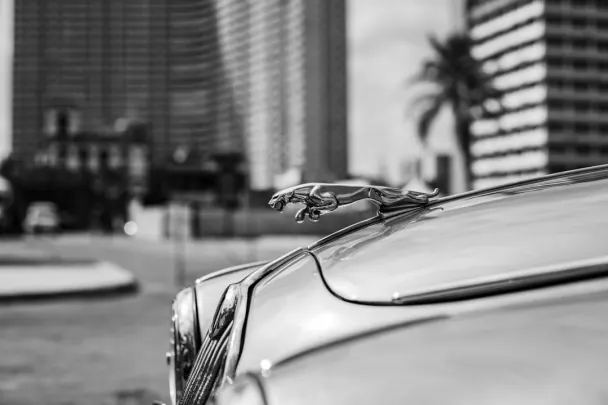 Καζίνο Γκολντεν Ριλς Εφαρμογή Android/iOS